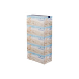 Marjaan Facial Tissue 200 Sheets x 2 Ply 30 Pieces