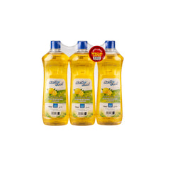 Dish Washing Liquid 750ML X 3PCS