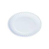 100 Pieces Paper Plate 9 inch
