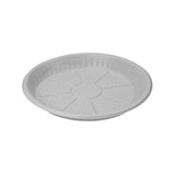 25 Pieces 10 Inch Round Plastic Plate