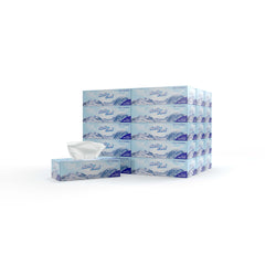 30 boxes Soft n Cool Facial Tissue 150 Sheets x 2 ply - Hotpack Global